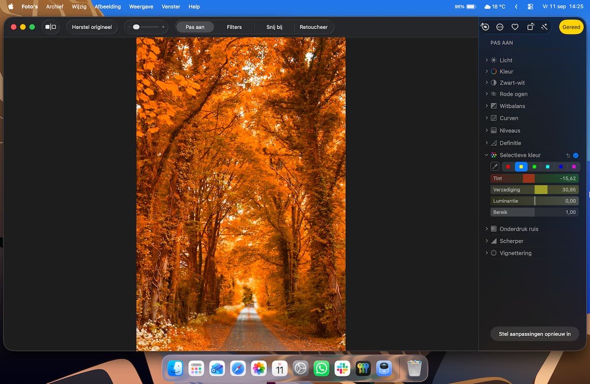Instructiefoto: Foto herfstblad maken