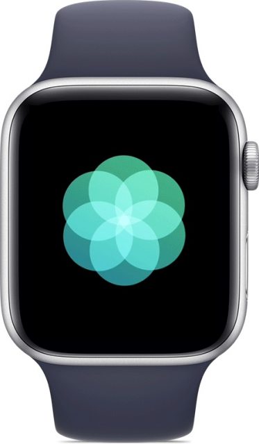 iTip: Pas de ademfrequentie op je Apple Watch aan (en word nog relaxter) -  iCreate
