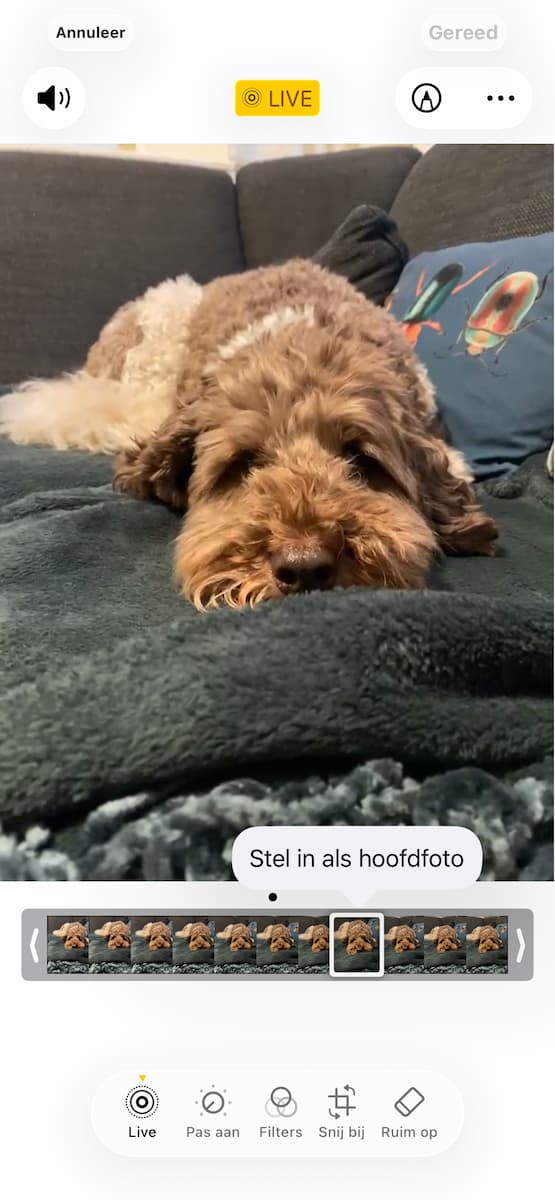Instructiefoto: Andere hoofdfoto