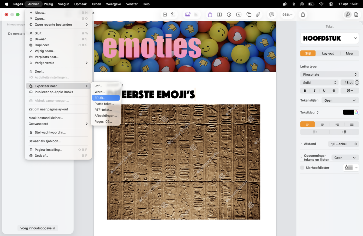 Instructiefoto: Bewaar als ePub