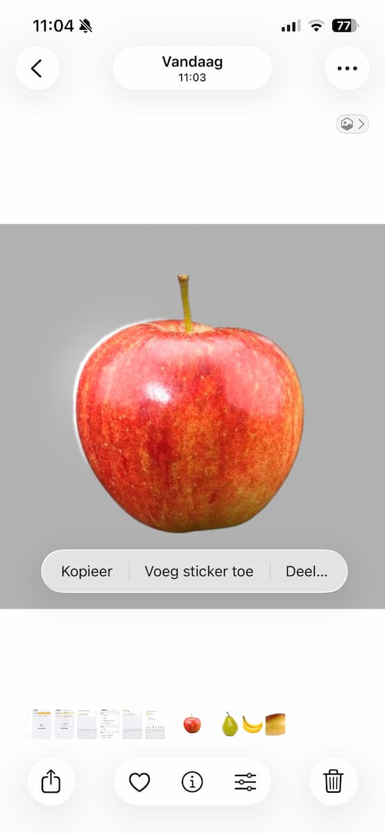 Instructiefoto: Foto's