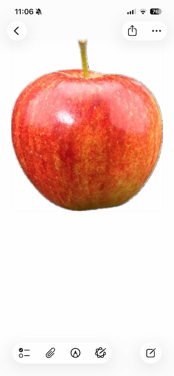 Instructiefoto: Meer