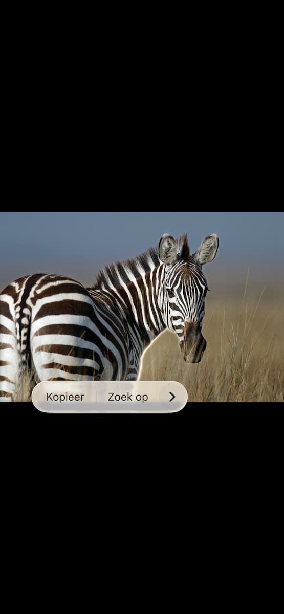 Instructiefoto: Laat het los