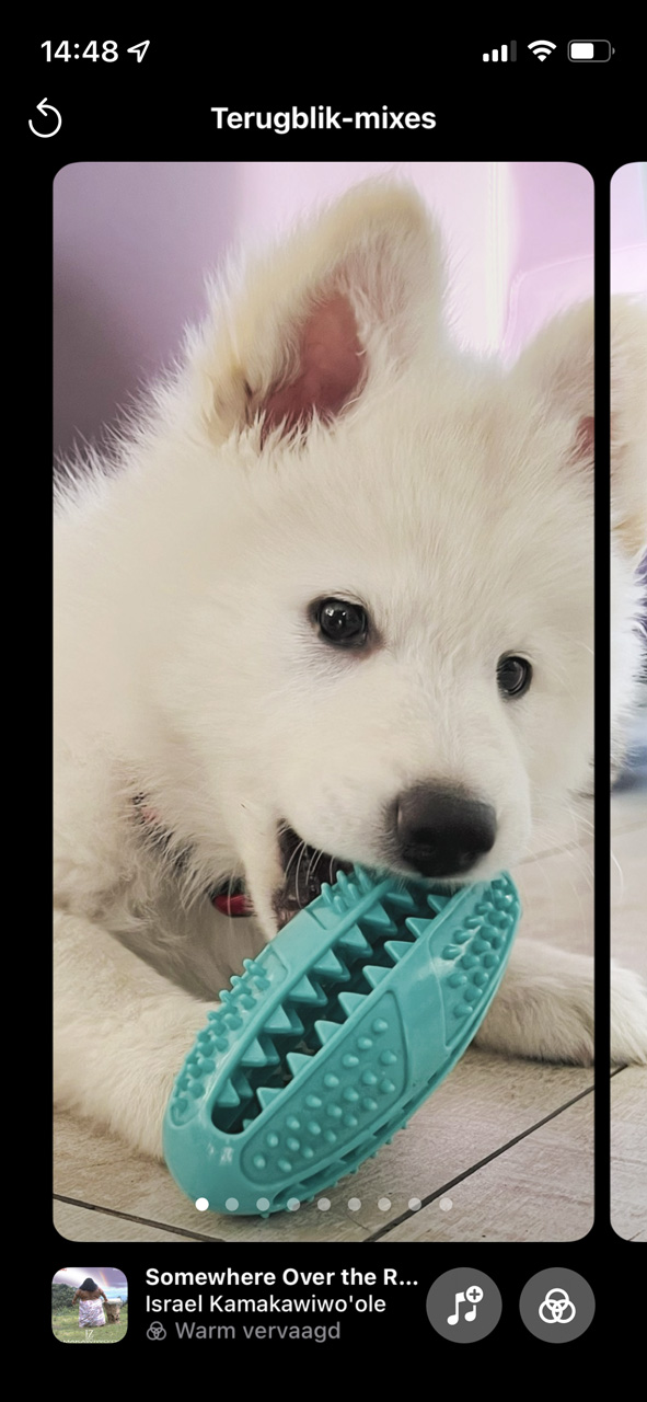 Instructiefoto: Terugblik-mixes