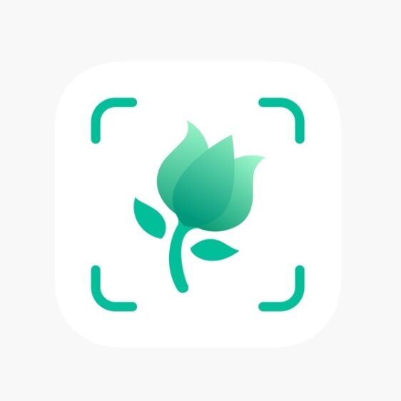 Picture this machine learning