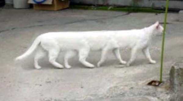 Mislukte panorama-foto