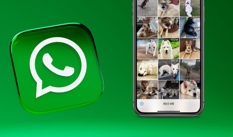 Waar slaat WhatsApp foto’s op op je iPhone? - iCreate