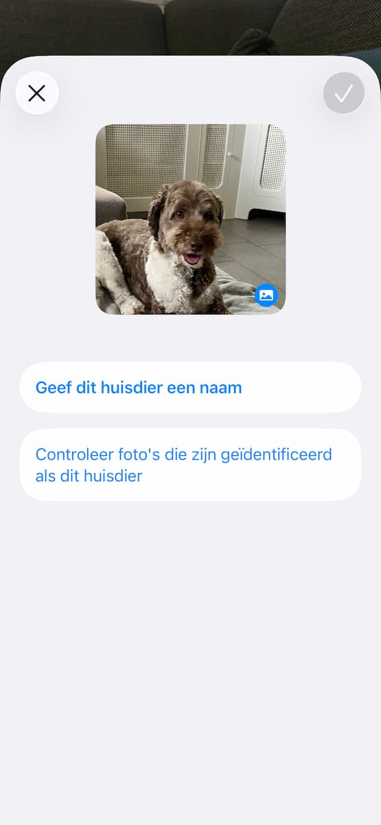 Instructiefoto: Vraagteken