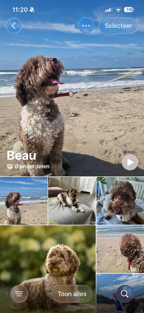 Instructiefoto: Personen en huisdieren