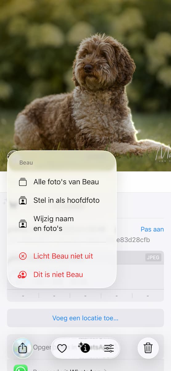 Instructiefoto: Hoofdfoto