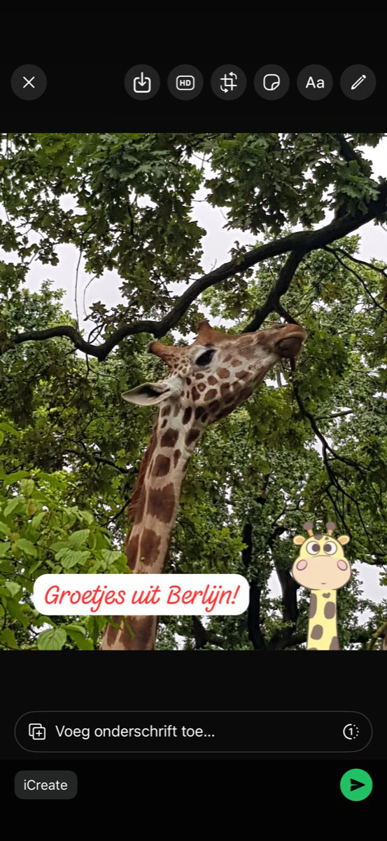 Instructiefoto: Tekst