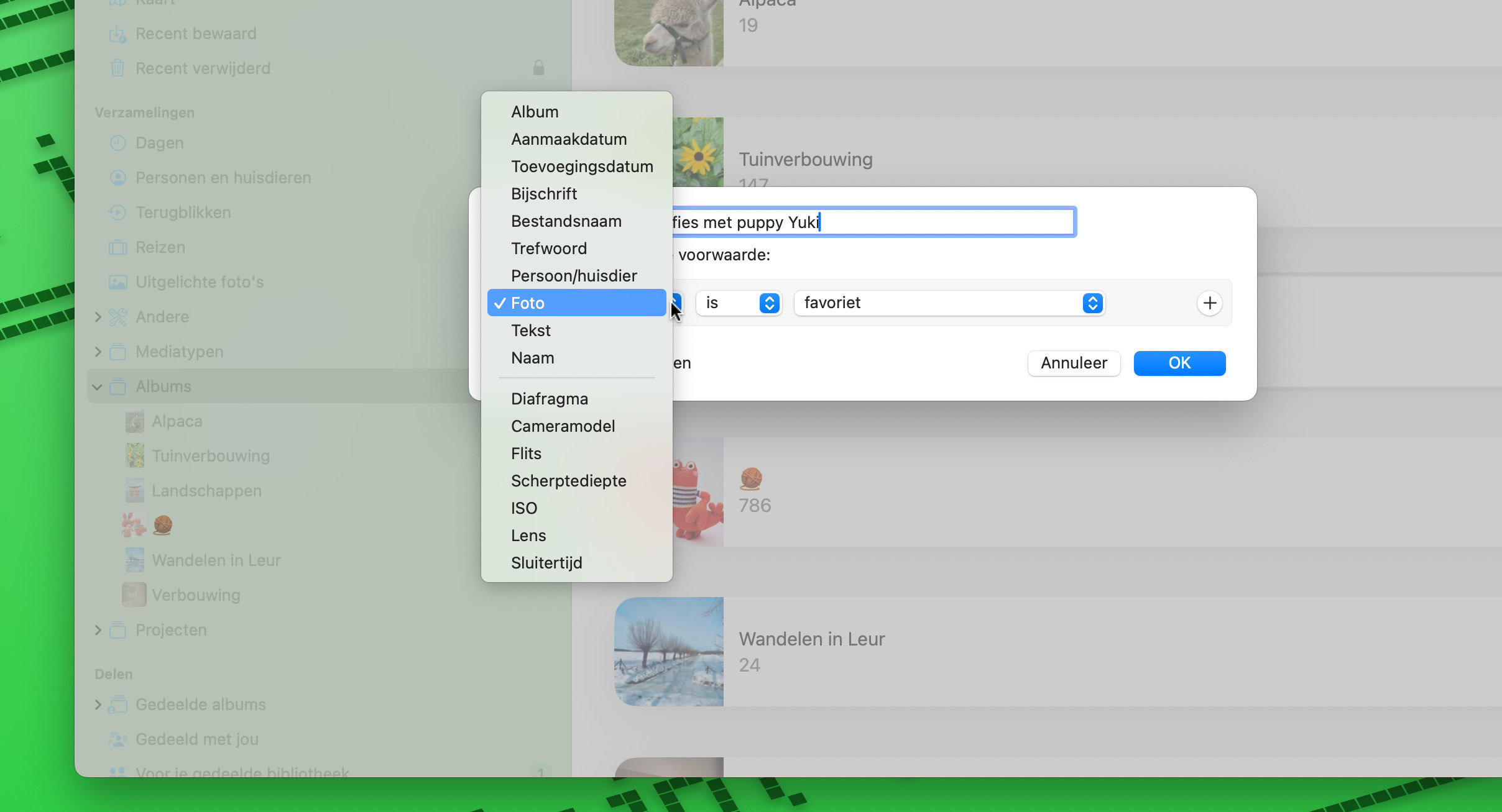 Instructiefoto: Voorwaarde