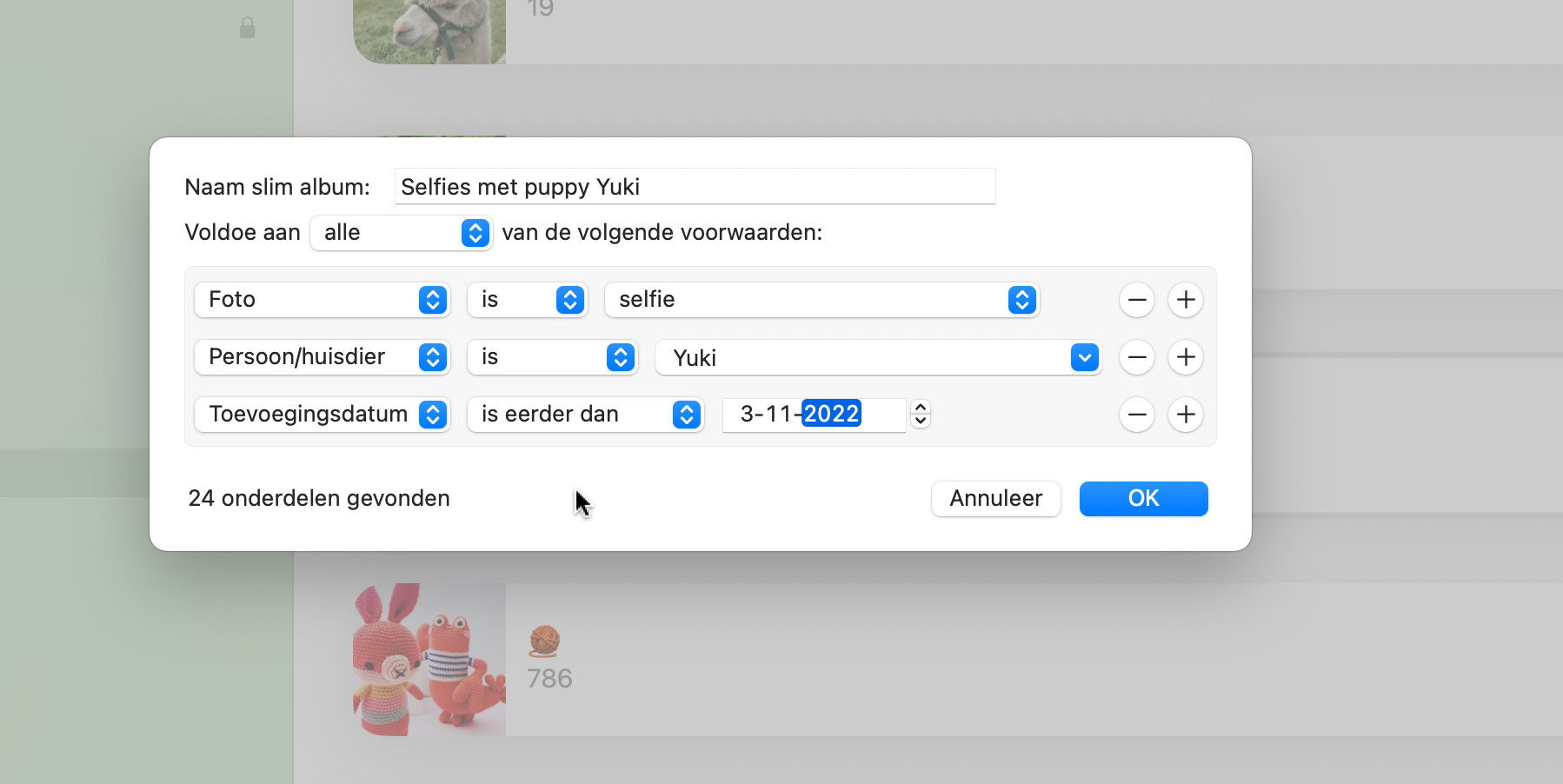 Instructiefoto: Extra voorwaarden