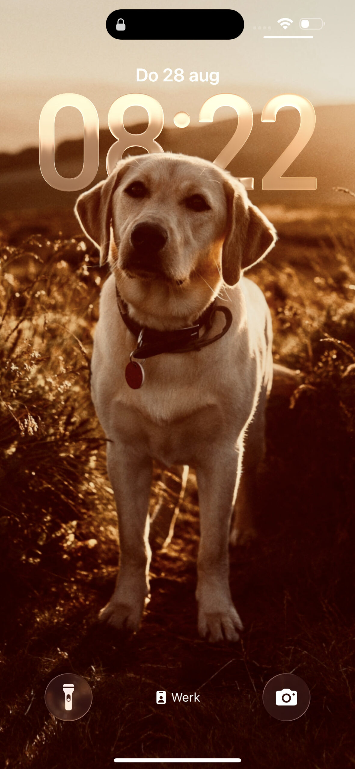 Instructiefoto: Het eindresultaat