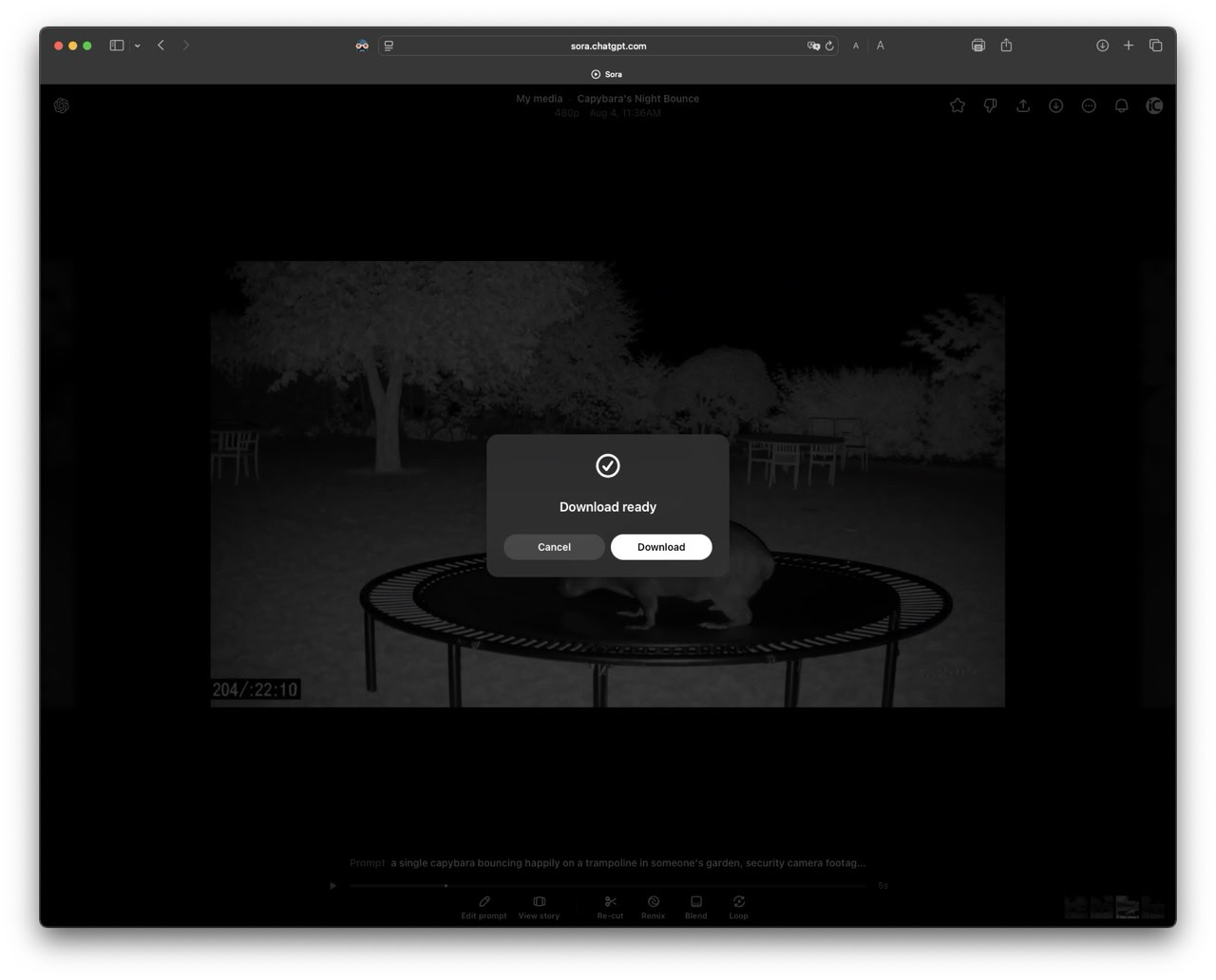 Instructiefoto: Downloaden