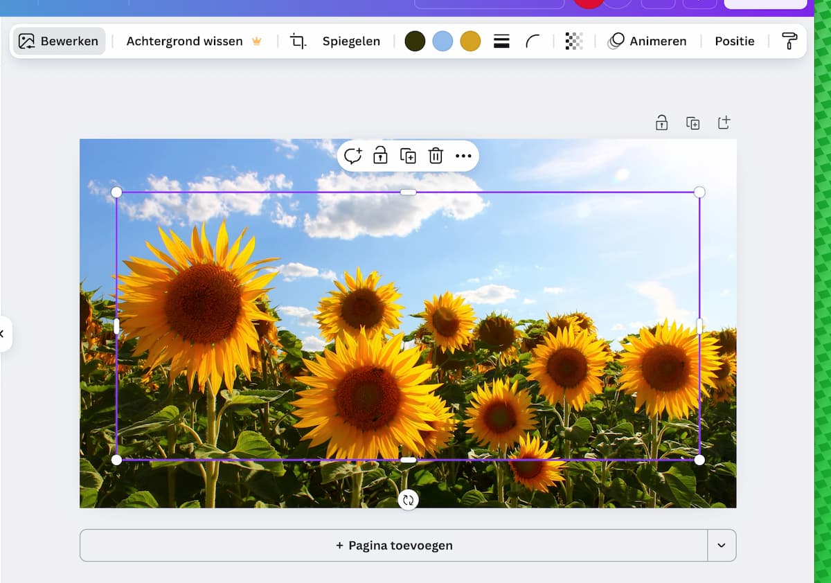 Instructiefoto: Dupliceren