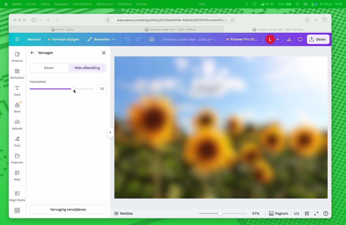 Instructiefoto: Subtiel vervagen