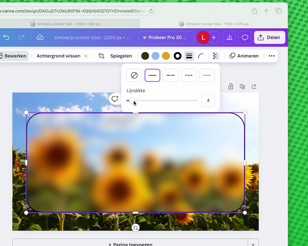 Instructiefoto: Omlijning