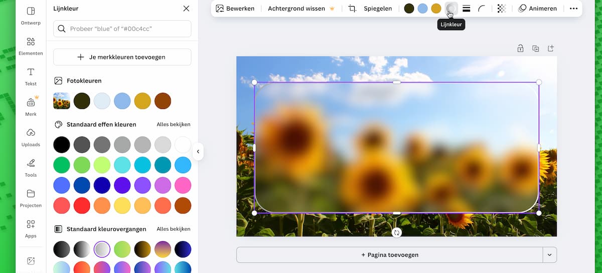 Instructiefoto: Lijnkleur