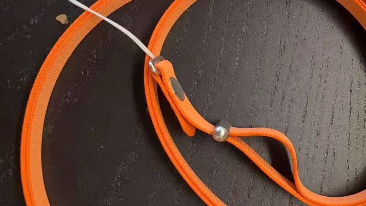 Apple Cross body strap in de kleur oranje