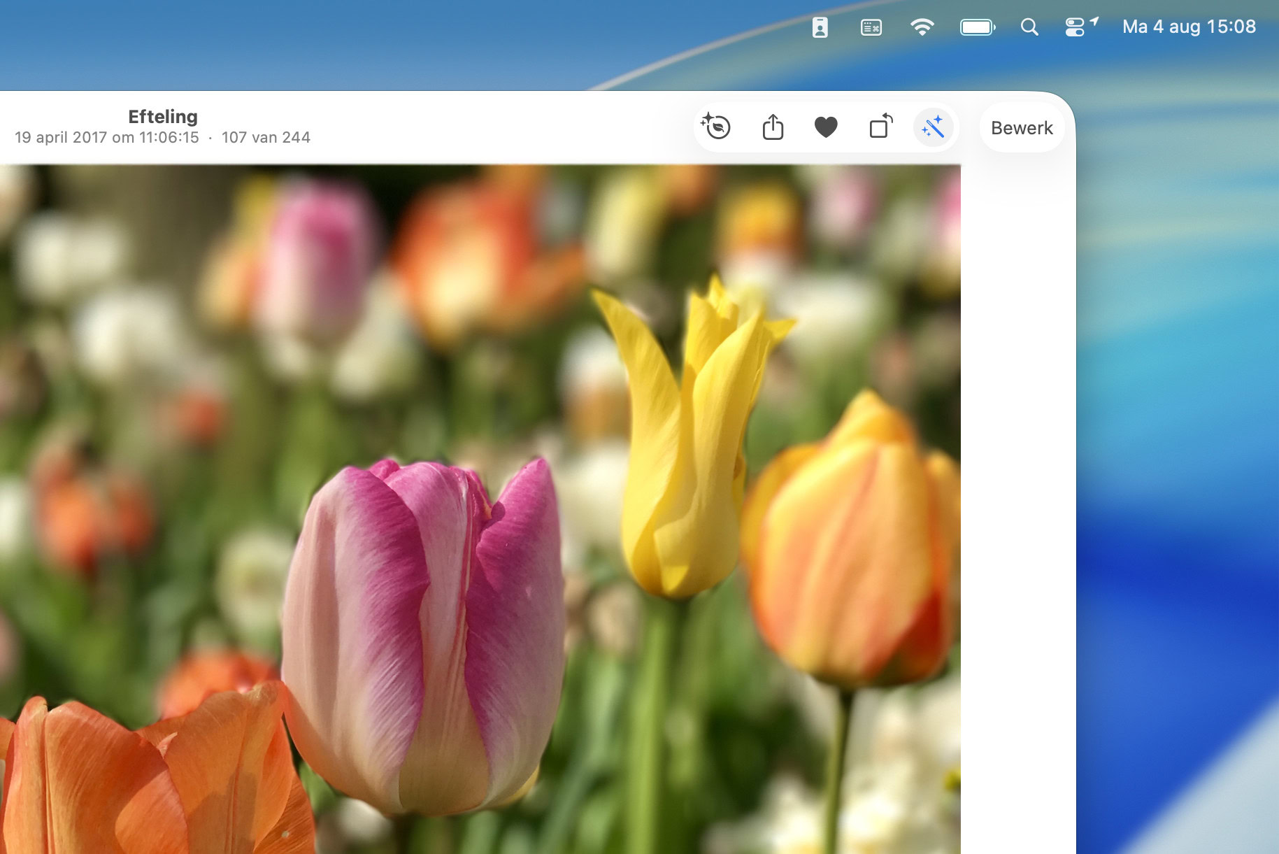 Instructiefoto: Een vleugje magie