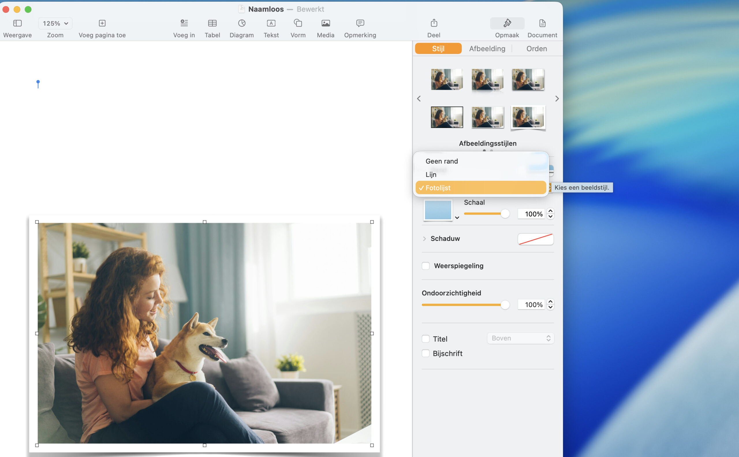 Instructiefoto: Voeg een lijstje toe