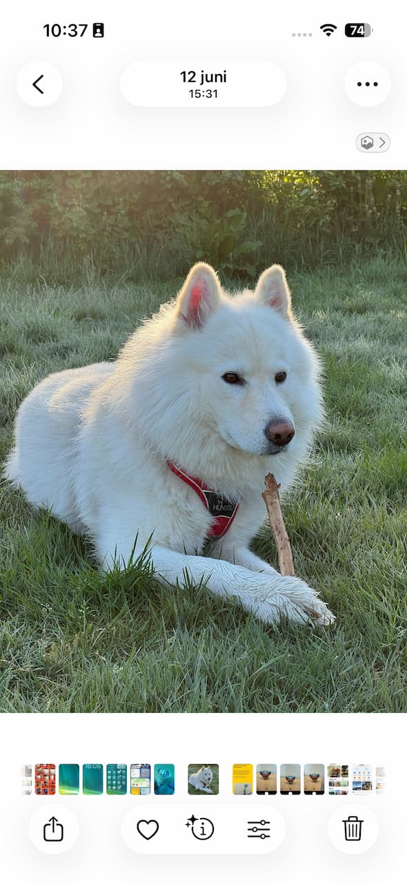 Instructiefoto: Kies een foto