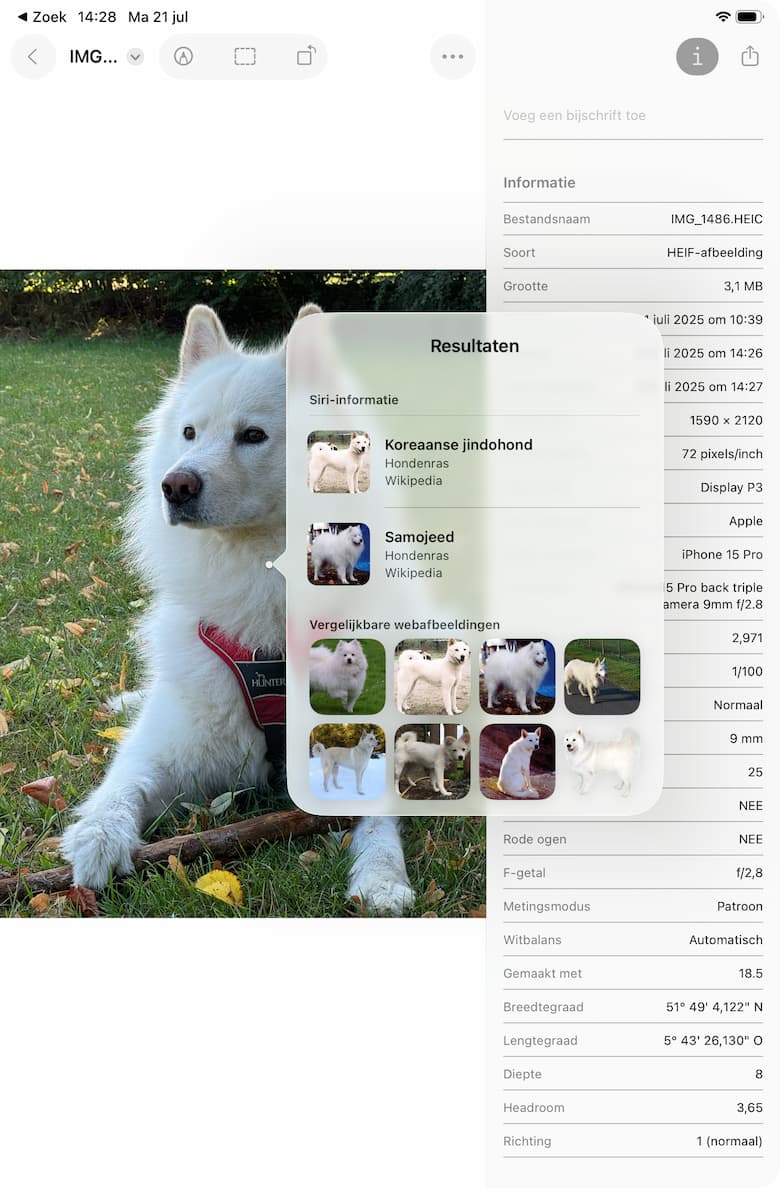 Instructiefoto: Wat zie je eigenlijk?