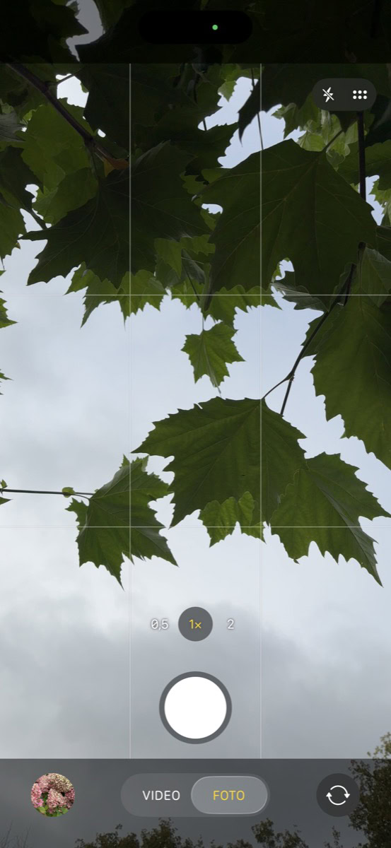 Camera-app op iPhone met bladeren in beeld