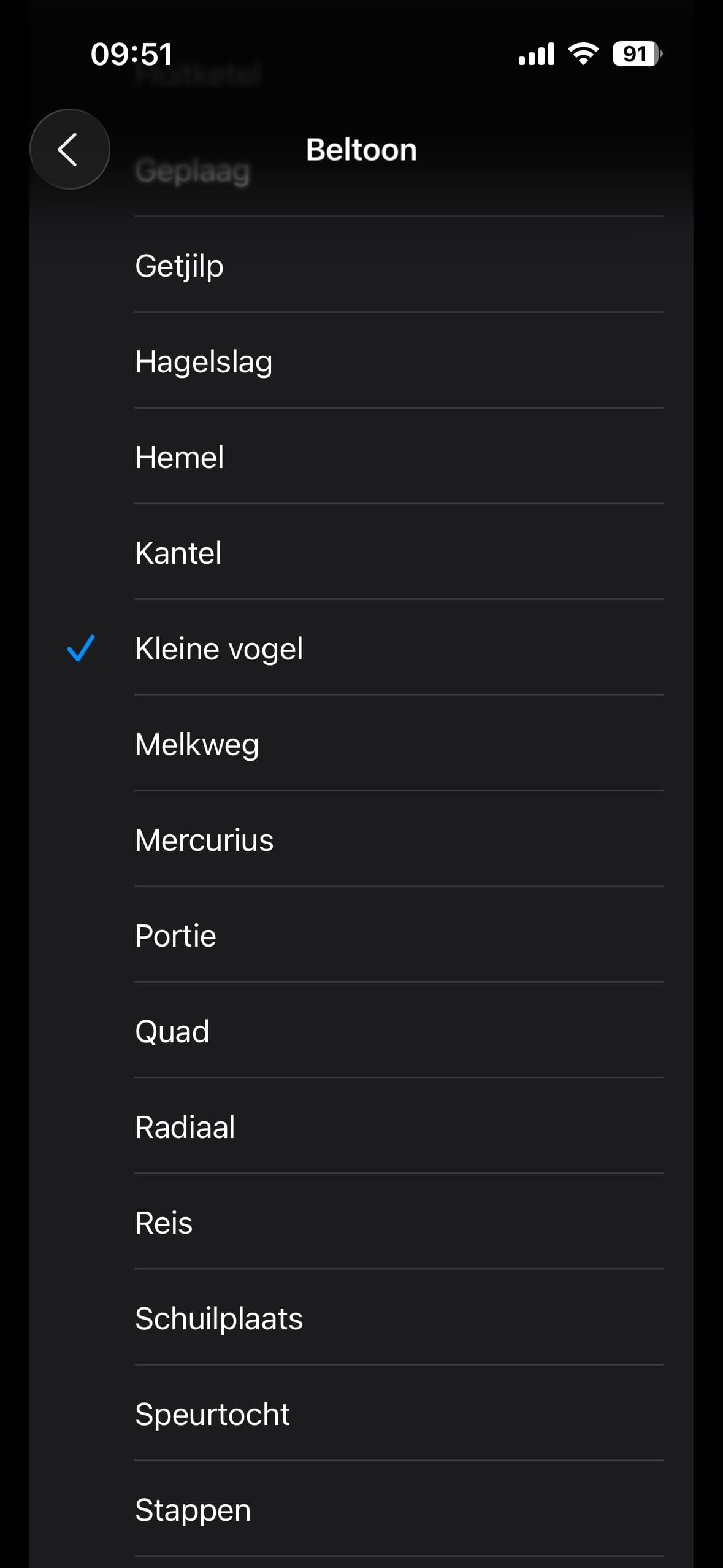 Kleine vogel nieuwe beltoon in de lijst