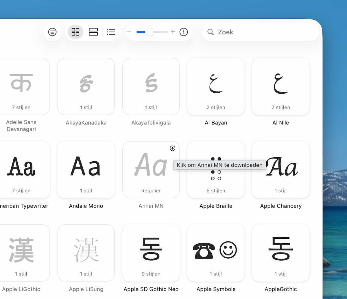 Instructiefoto: Activeren