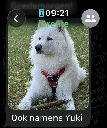 Foto van hond in WhatsApp gesprek, met tekst
