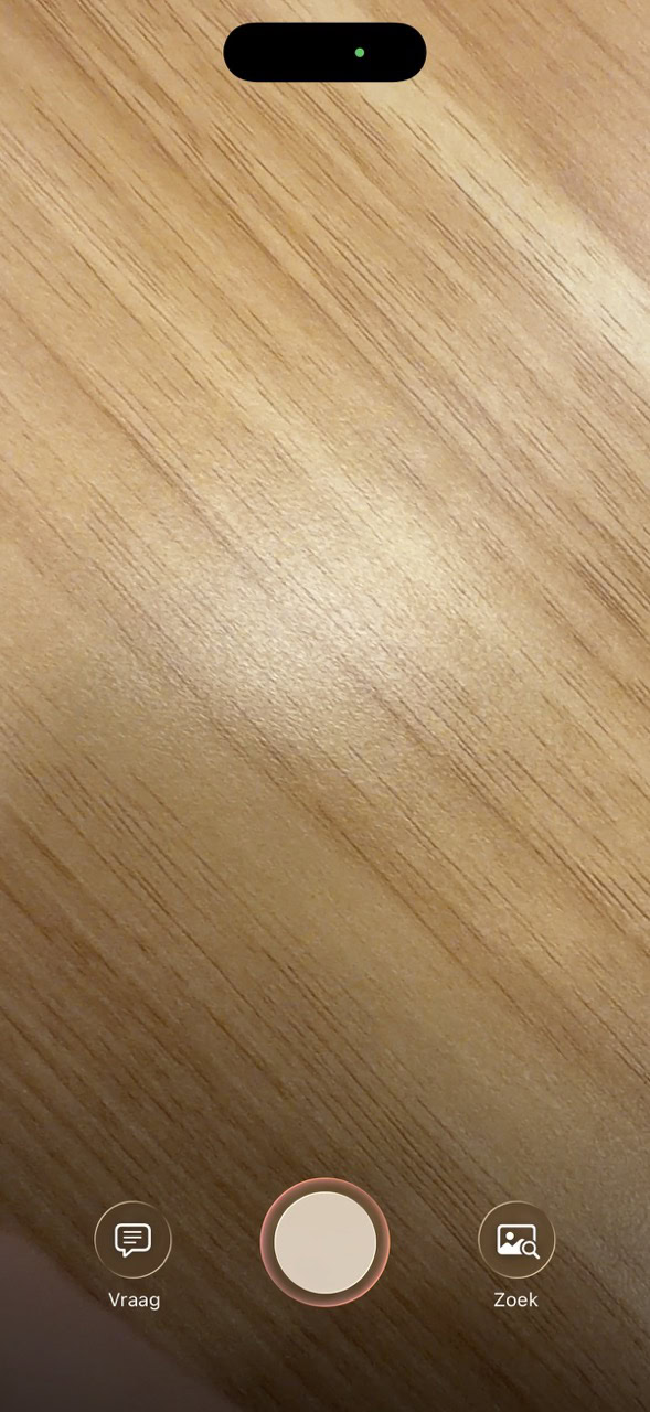 Open visuele intelligentie