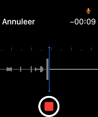 Instructiefoto: Spraakopnames