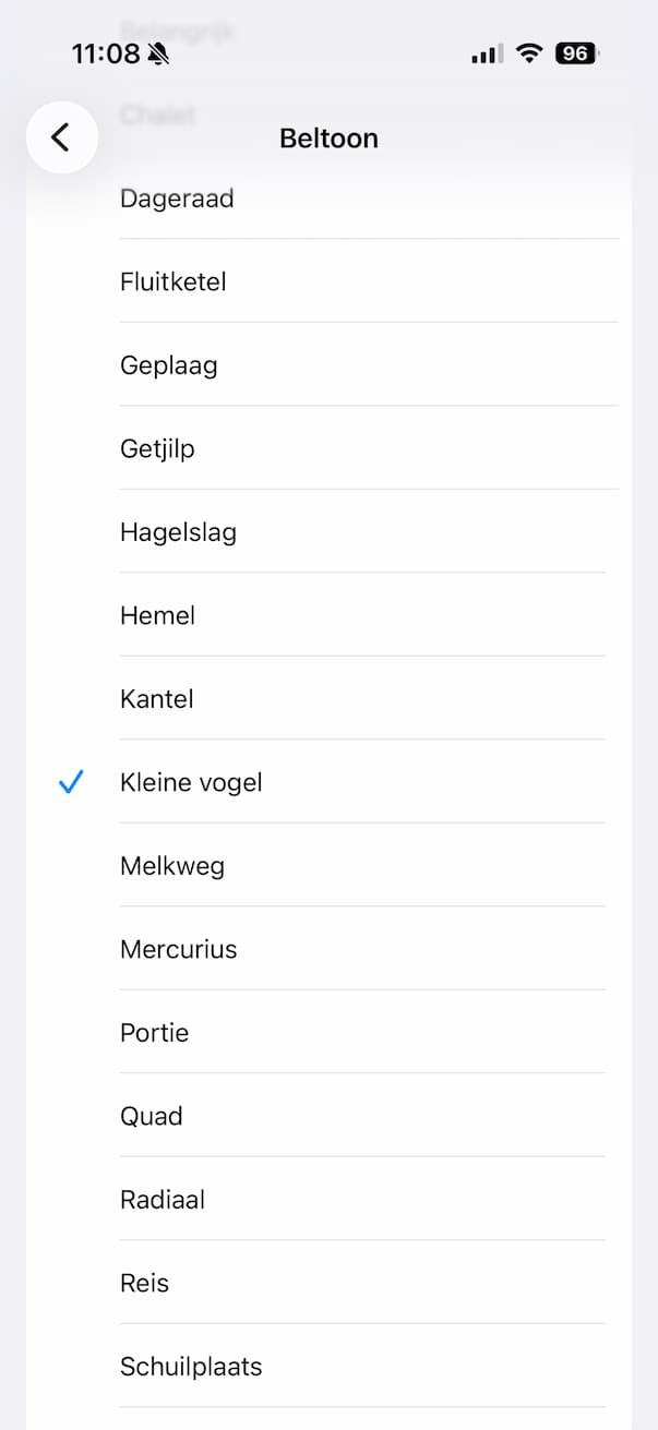 Kleine vogel beltoon