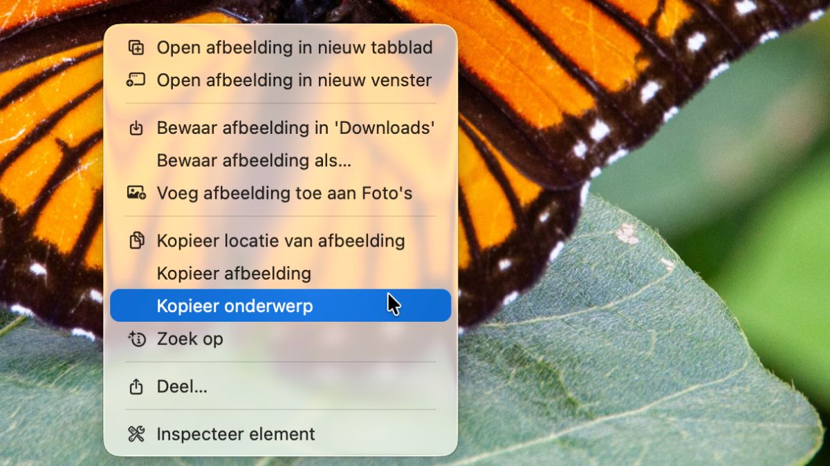 Afbeeldingen uit Safari