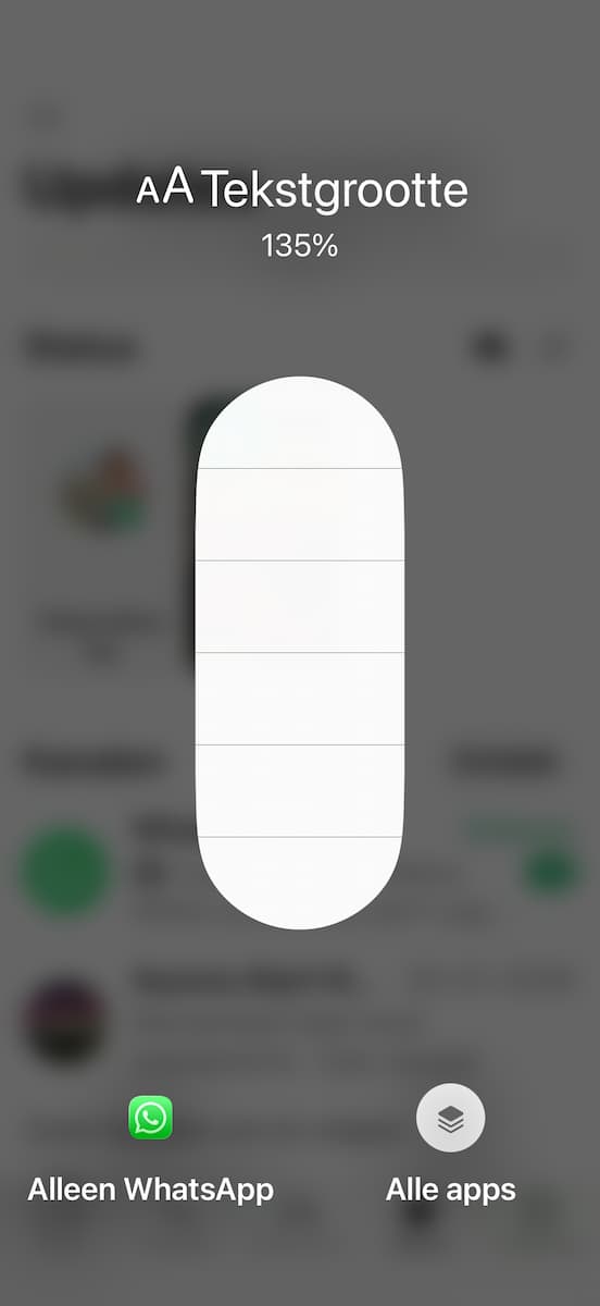 Instructiefoto: Tekstgrootte overal