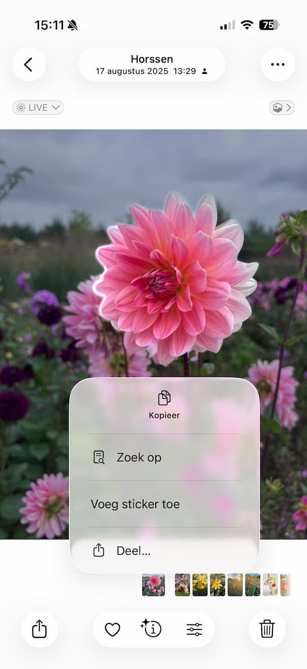 Maak een sticker van een bloem