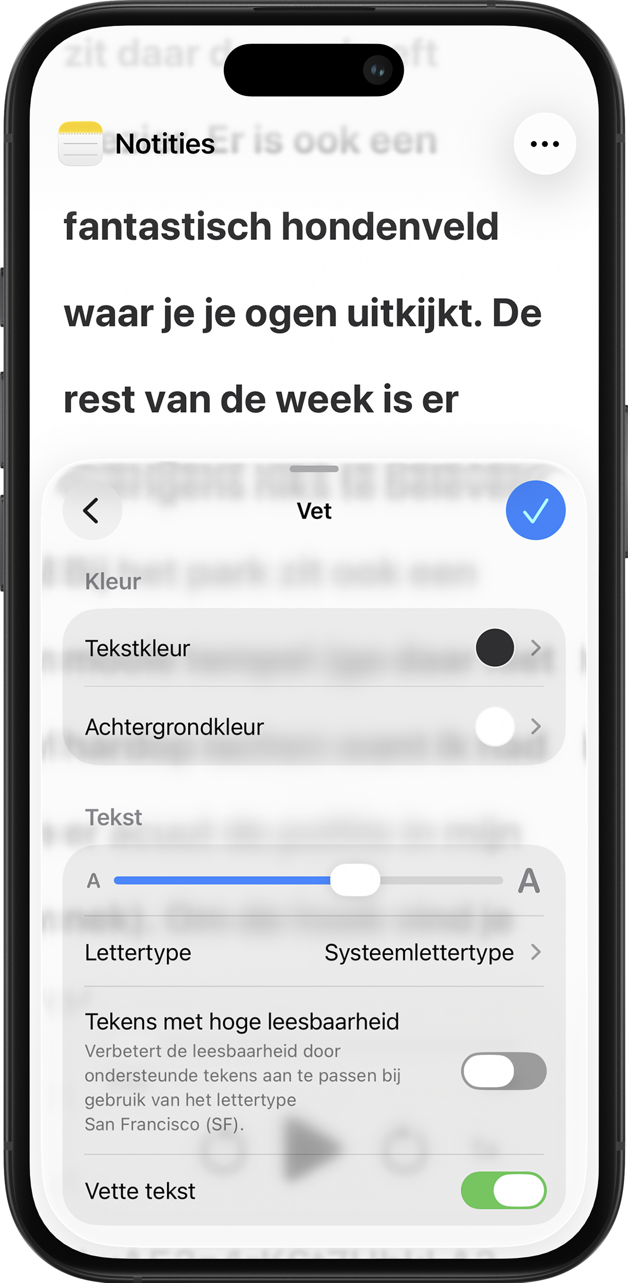 Instructiefoto: Toegankelijkheidslezer