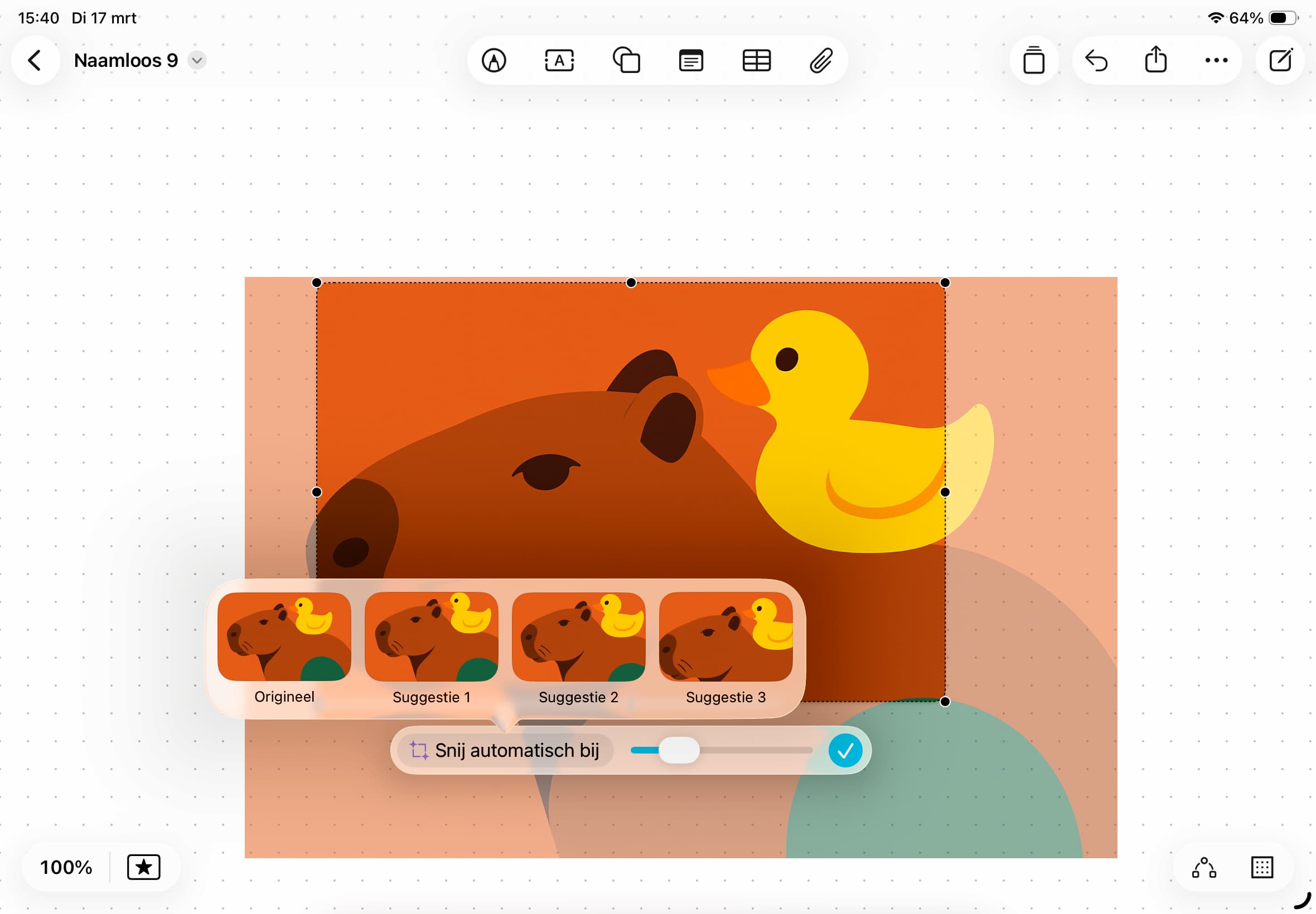 Automatisch bijsnijden