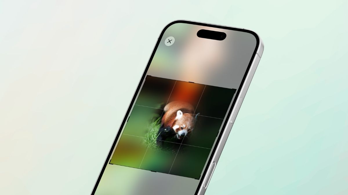Breid uit in Foto's op iPhone