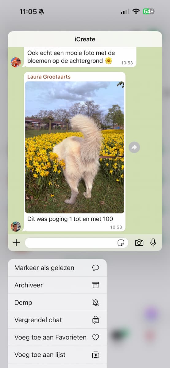 Instructiefoto: Spieken