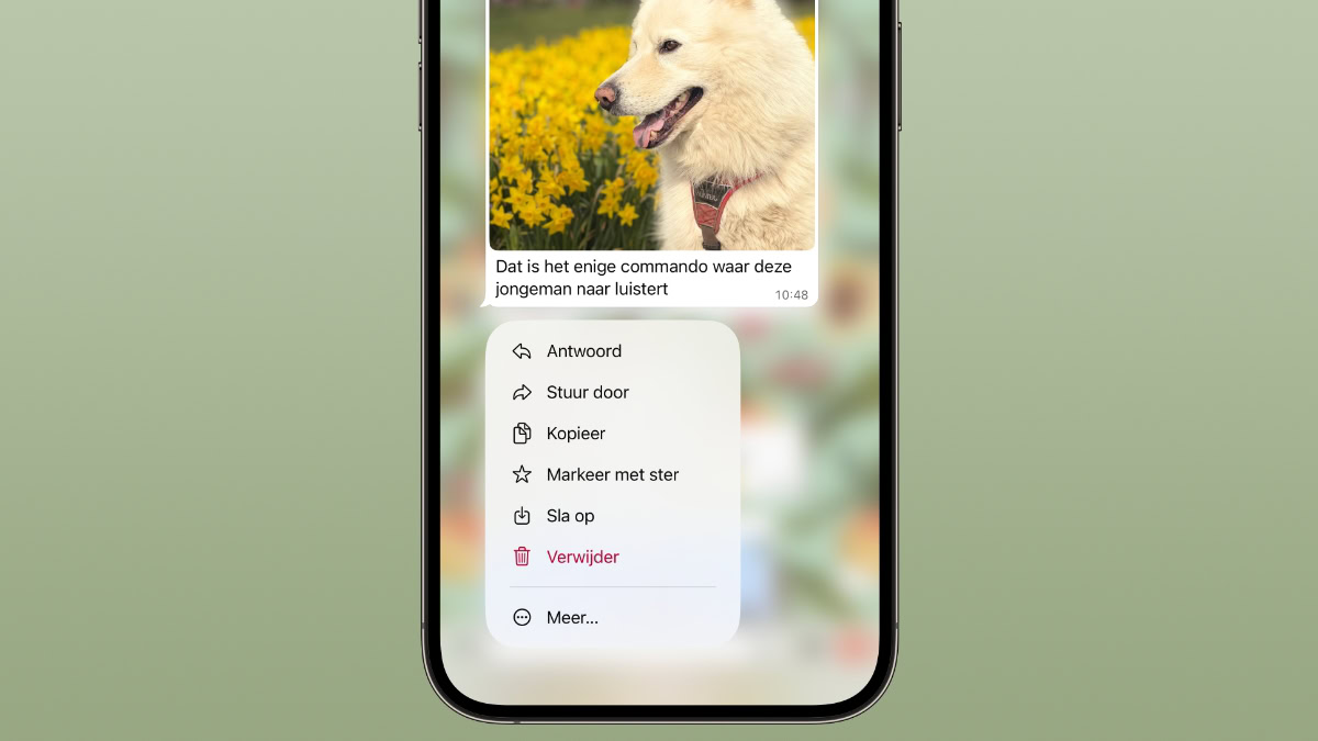 Optie om foto op te slaan in WhatsApp