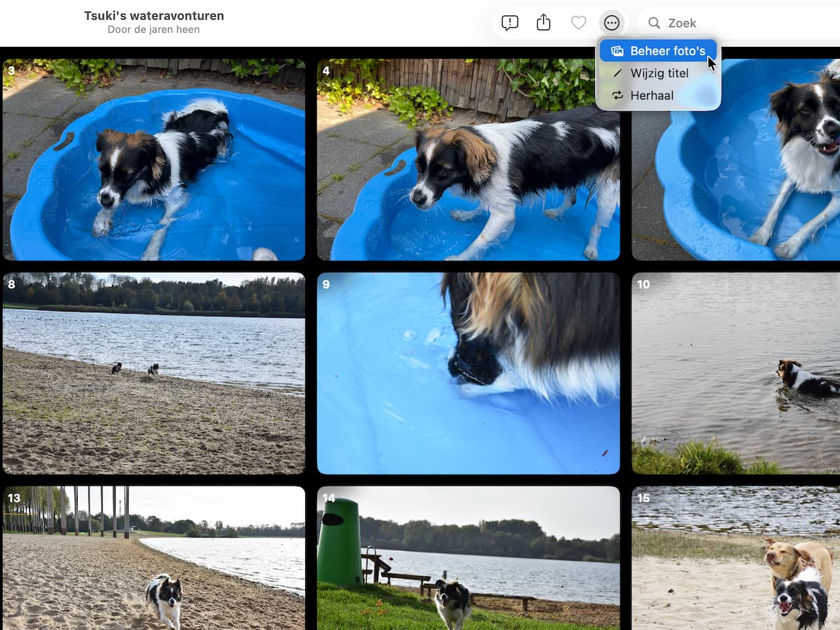 Instructiefoto: Foto's kiezen