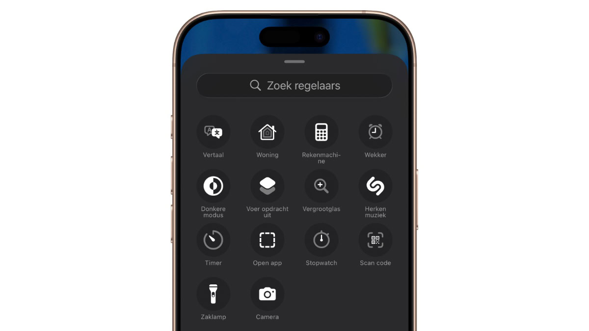 iPhone toegangsscherm regelaars