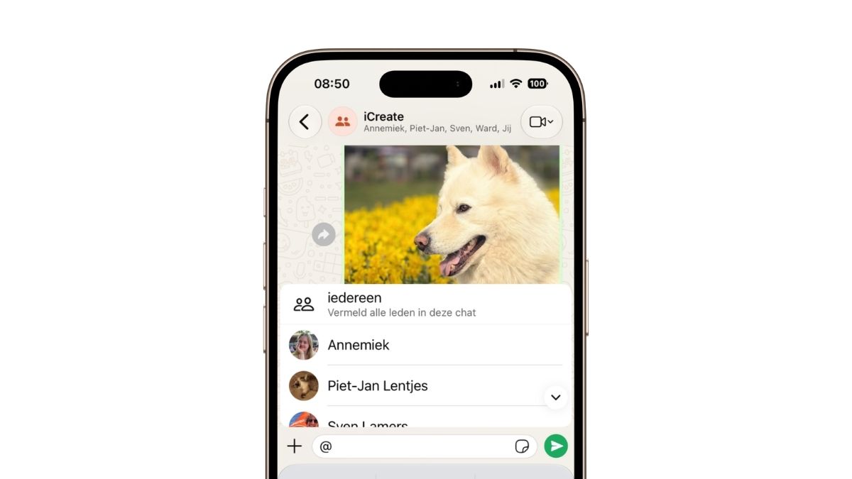 Iedereen een bericht WhatsApp