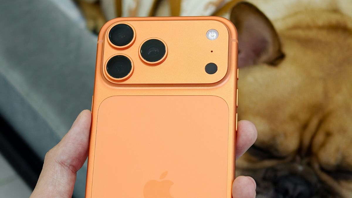 iPhone en hond op achtergrond
