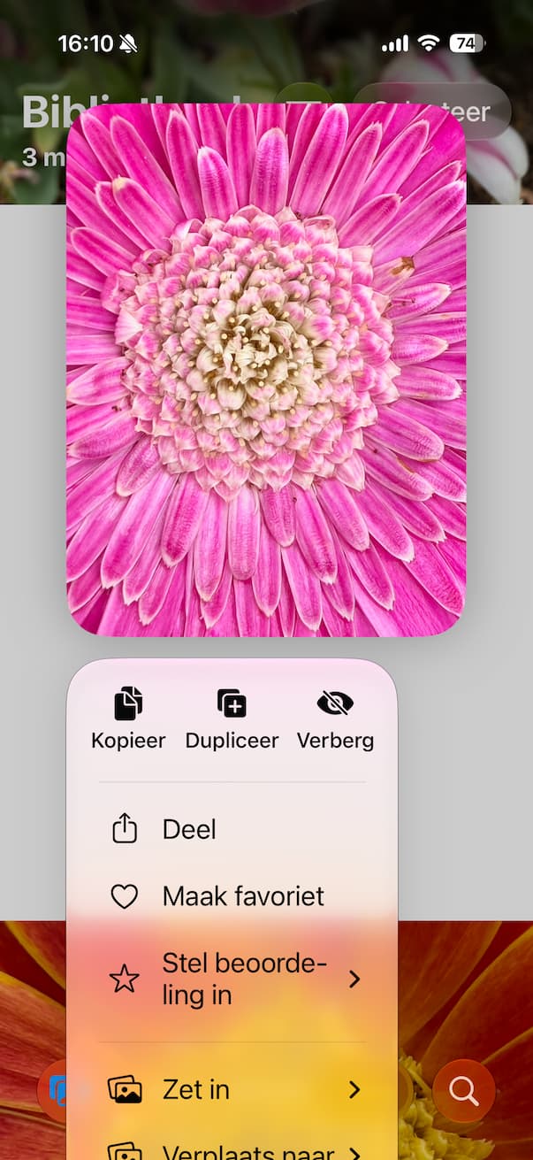 Kopieer en plak in iOS 27