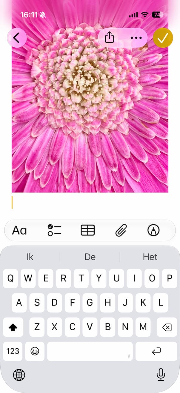 Kopieer en plak in iOS 27